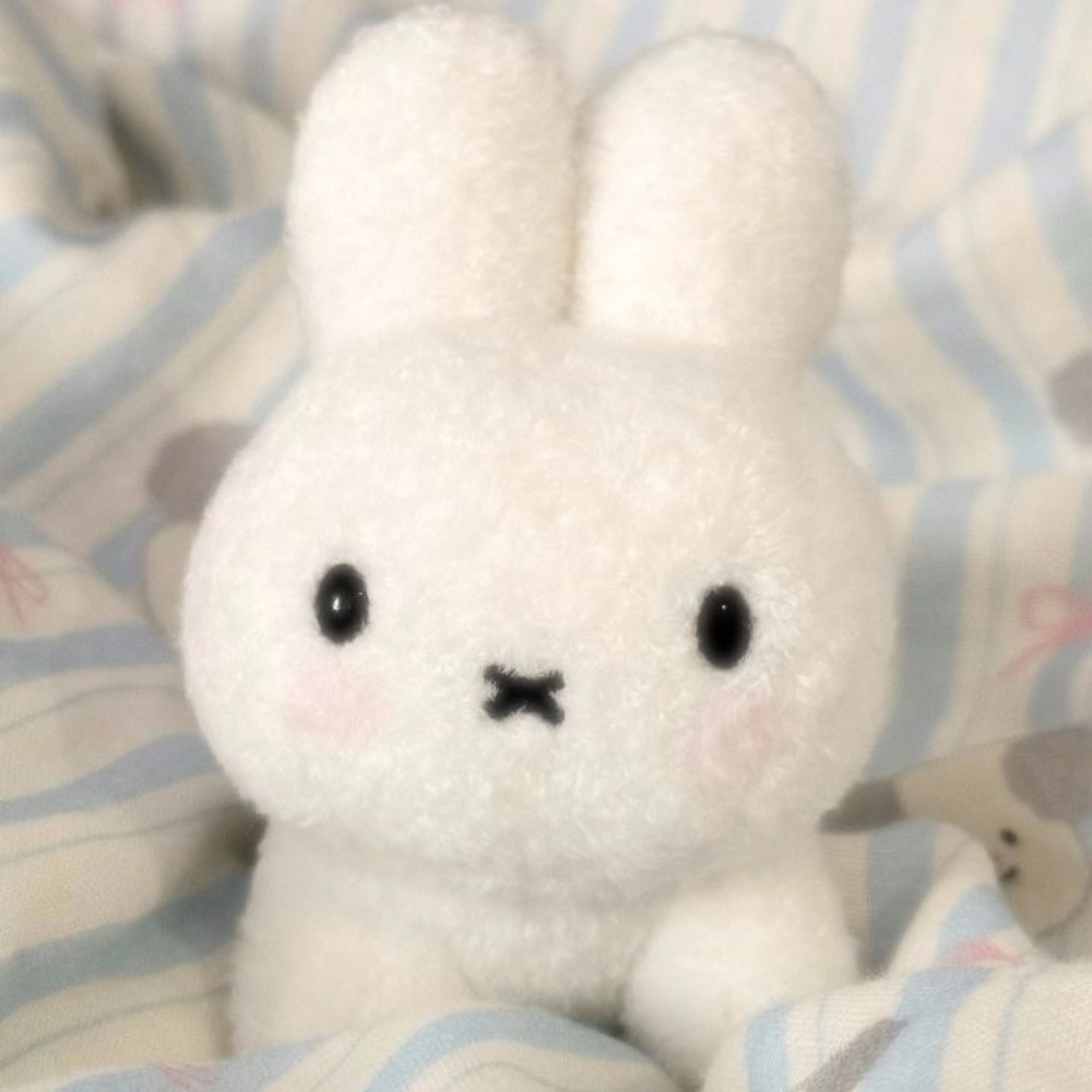 Meet your Posher, Rae